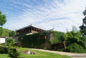 �{(l��n)����