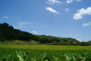 ��߅��������S����