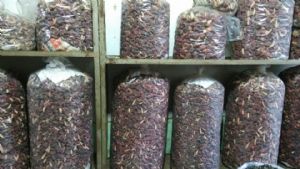 �����й��ֹ���