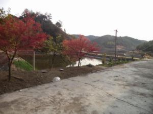 �߷��F��Ȫˮ�~