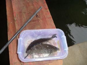 �߷��F��Ȫˮ�~