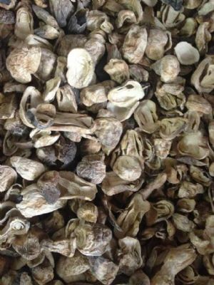 ���ص��ݹ�