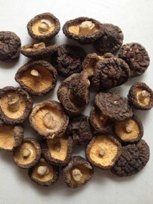 A��(j��)�㹽