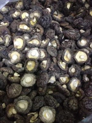 �ؼ�(j��)�㹽