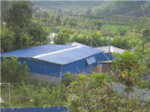 �������B(y��ng)ֳ����֮һ