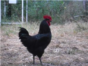 ��Ȟ��u�����u