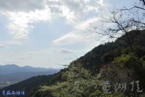 �����Ϻ��1