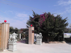 ԭ���B(t��i)�r(n��ng)���f