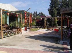 ԭ���B(t��i)�r(n��ng)���f