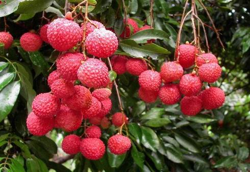 �����r(n��ng)�a(ch��n)Ʒ