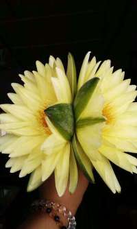 �_(t��i)���@